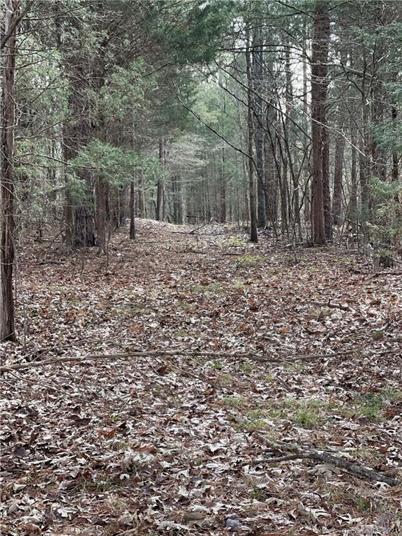 3251 Irish Potato Road, Concord, NC 28025 MLS 3698789